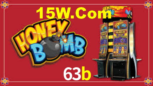 63b